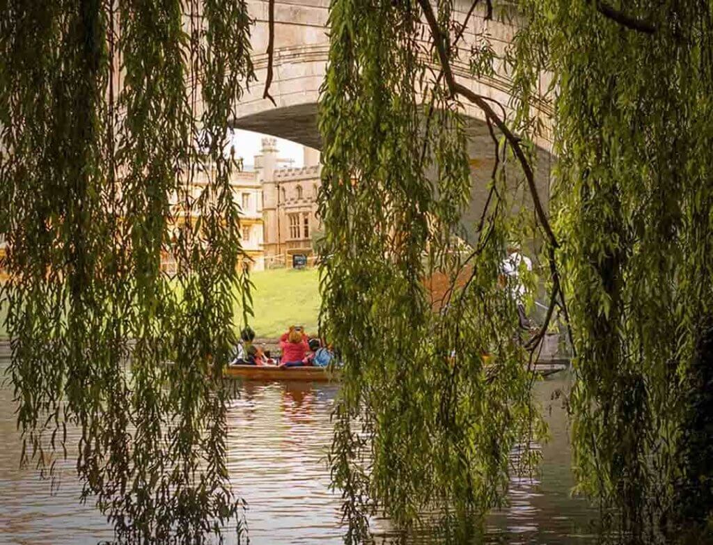 Accessible Punting